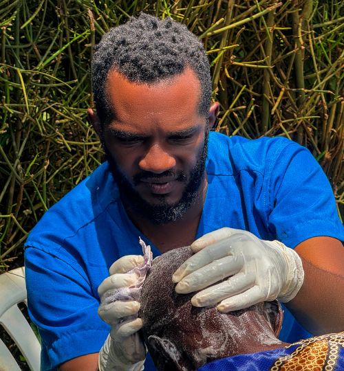 Untitled design (65)