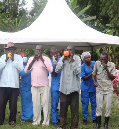 Untitled design (66)